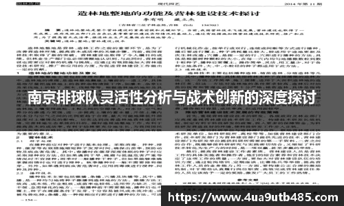 南京排球队灵活性分析与战术创新的深度探讨